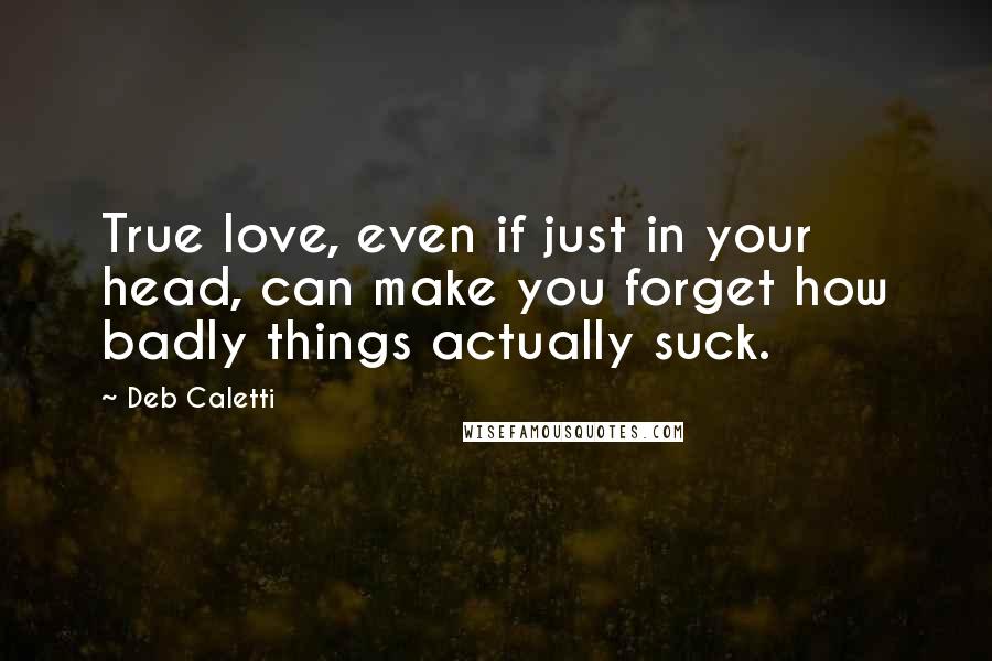 Deb Caletti Quotes: True love, even if just in your head, can make you forget how badly things actually suck.