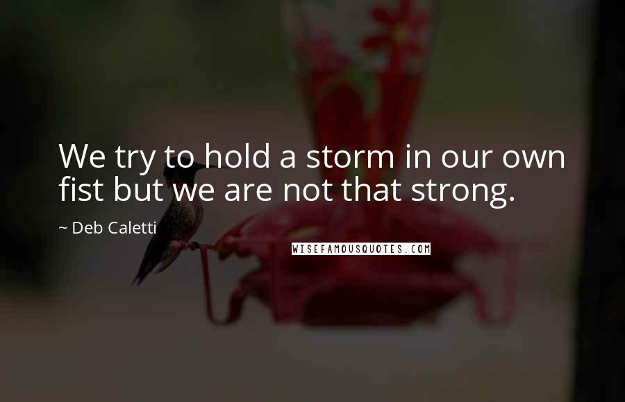 Deb Caletti Quotes: We try to hold a storm in our own fist but we are not that strong.