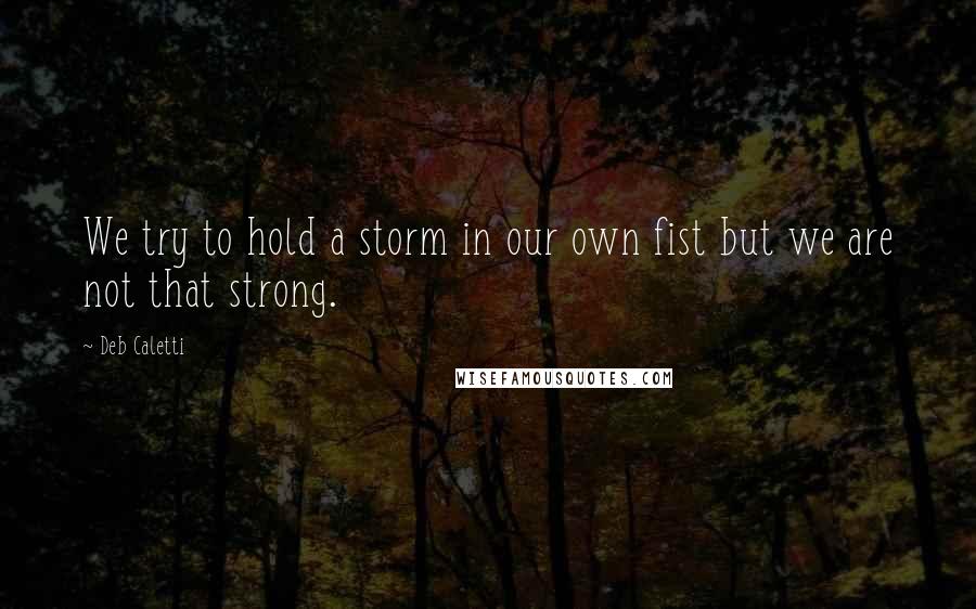 Deb Caletti Quotes: We try to hold a storm in our own fist but we are not that strong.