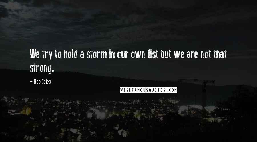 Deb Caletti Quotes: We try to hold a storm in our own fist but we are not that strong.