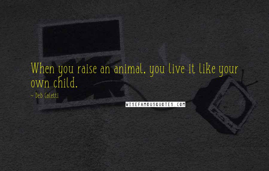 Deb Caletti Quotes: When you raise an animal, you live it like your own child.