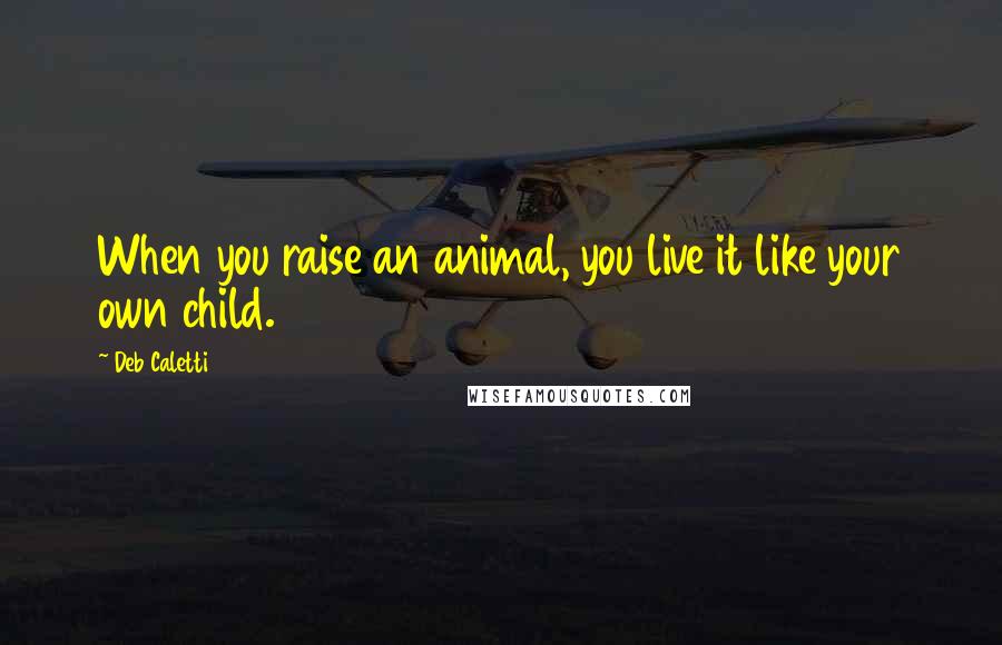 Deb Caletti Quotes: When you raise an animal, you live it like your own child.