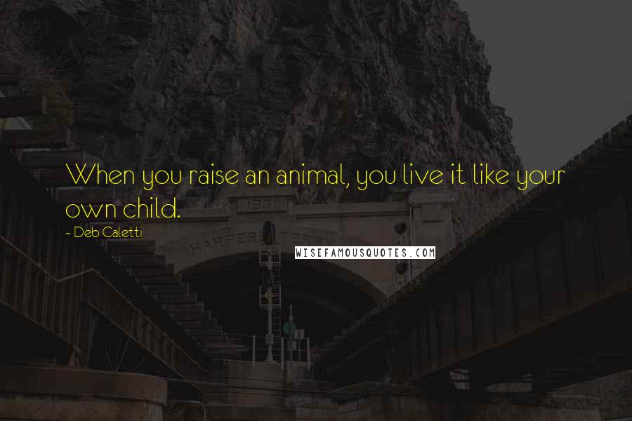 Deb Caletti Quotes: When you raise an animal, you live it like your own child.