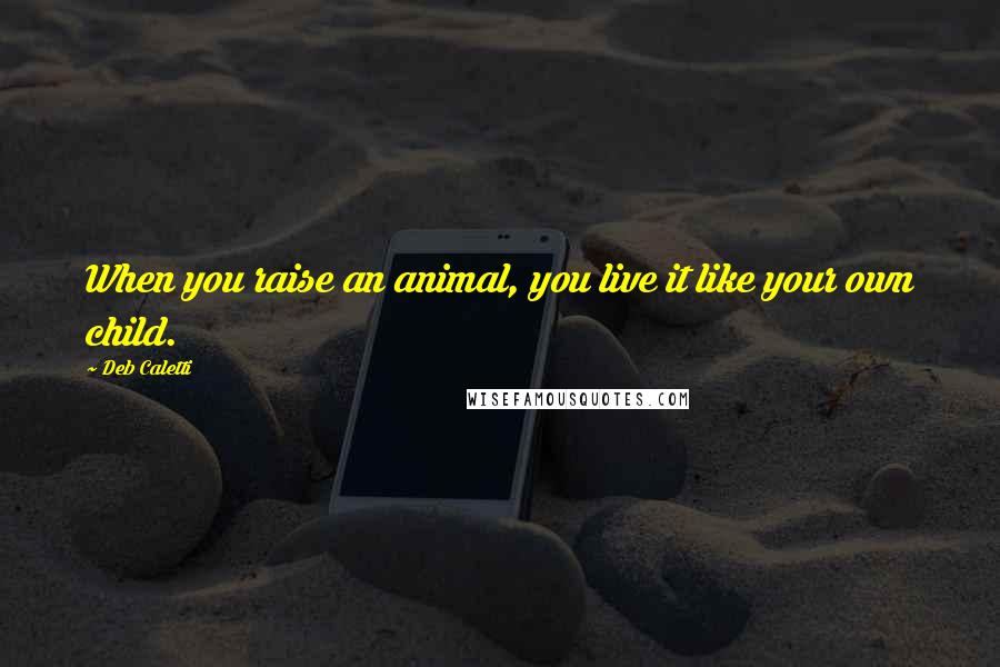 Deb Caletti Quotes: When you raise an animal, you live it like your own child.