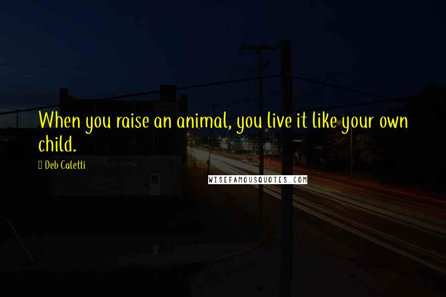 Deb Caletti Quotes: When you raise an animal, you live it like your own child.