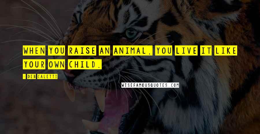 Deb Caletti Quotes: When you raise an animal, you live it like your own child.