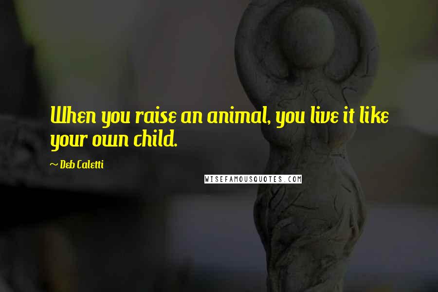 Deb Caletti Quotes: When you raise an animal, you live it like your own child.