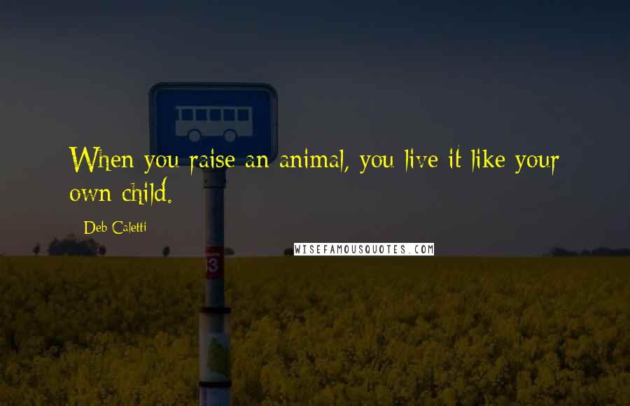 Deb Caletti Quotes: When you raise an animal, you live it like your own child.