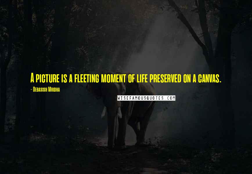 Debasish Mridha Quotes: A picture is a fleeting moment of life preserved on a canvas.
