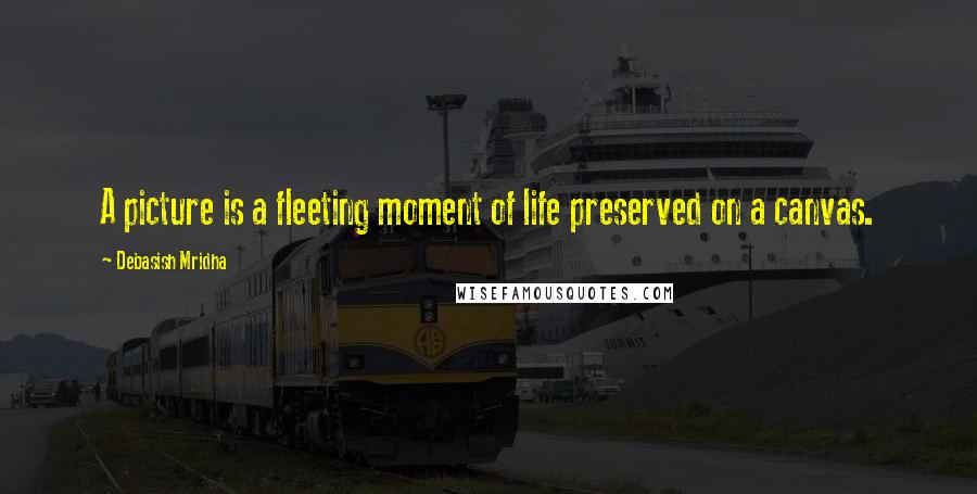 Debasish Mridha Quotes: A picture is a fleeting moment of life preserved on a canvas.