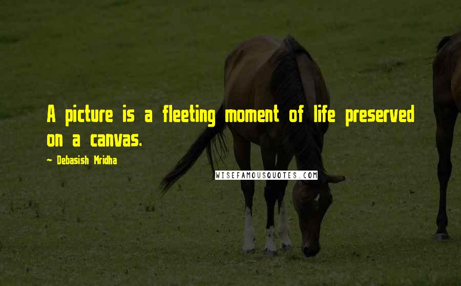 Debasish Mridha Quotes: A picture is a fleeting moment of life preserved on a canvas.