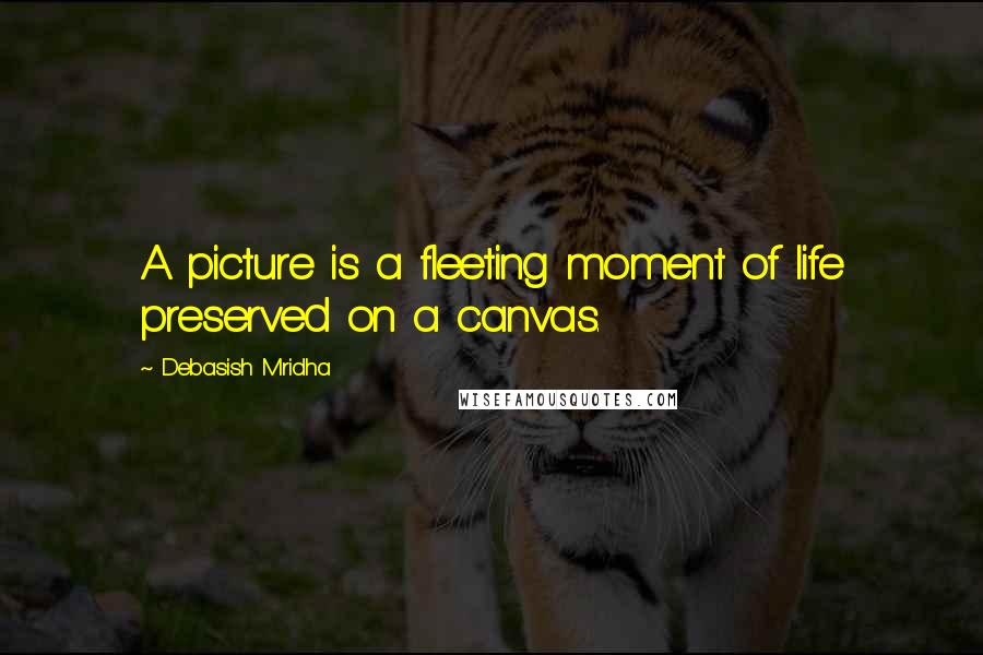 Debasish Mridha Quotes: A picture is a fleeting moment of life preserved on a canvas.