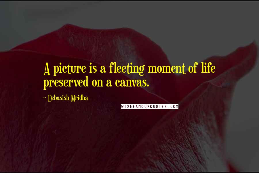Debasish Mridha Quotes: A picture is a fleeting moment of life preserved on a canvas.