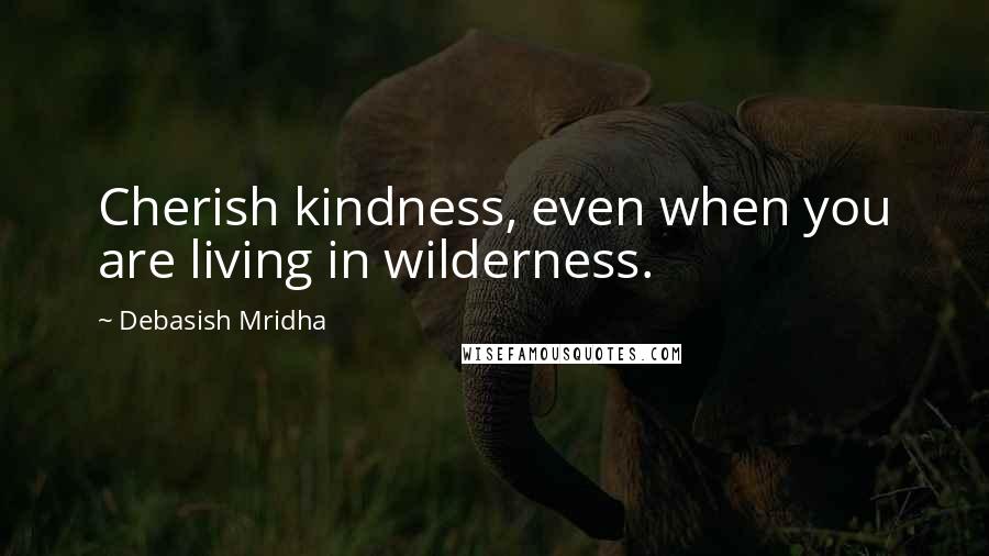 Debasish Mridha Quotes: Cherish kindness, even when you are living in wilderness.