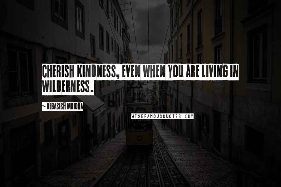 Debasish Mridha Quotes: Cherish kindness, even when you are living in wilderness.