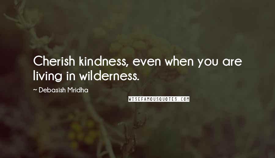 Debasish Mridha Quotes: Cherish kindness, even when you are living in wilderness.