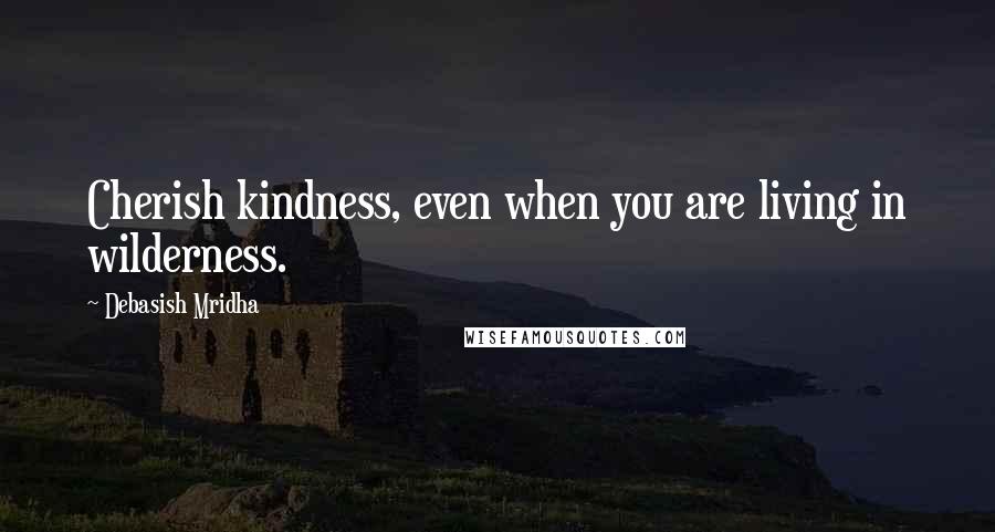 Debasish Mridha Quotes: Cherish kindness, even when you are living in wilderness.