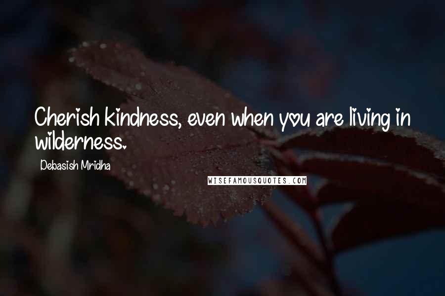 Debasish Mridha Quotes: Cherish kindness, even when you are living in wilderness.