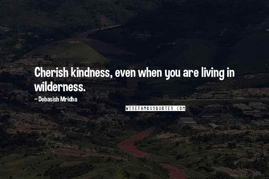 Debasish Mridha Quotes: Cherish kindness, even when you are living in wilderness.