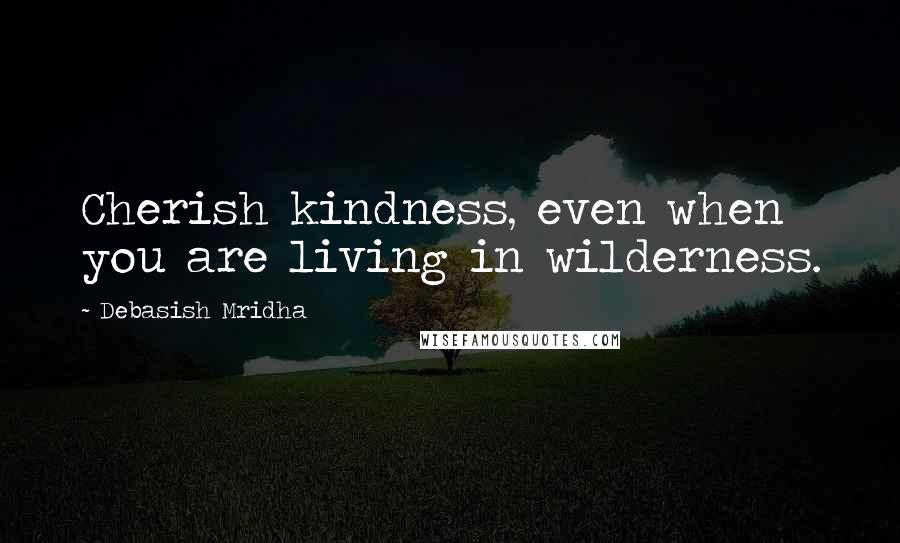 Debasish Mridha Quotes: Cherish kindness, even when you are living in wilderness.