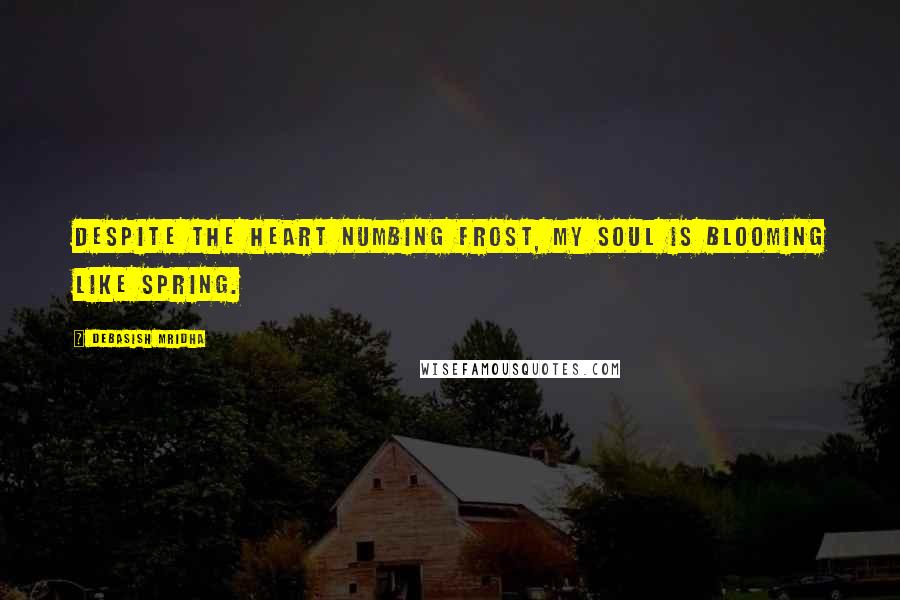 Debasish Mridha Quotes: Despite the heart numbing frost, my soul is blooming like spring.
