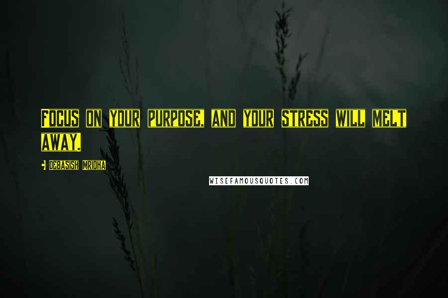 Debasish Mridha Quotes: Focus on your purpose, and your stress will melt away.