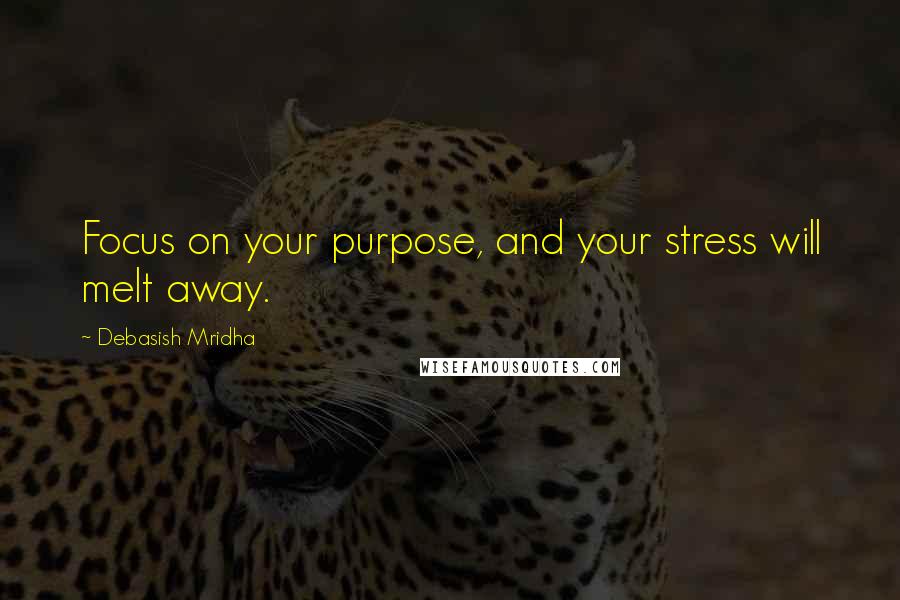 Debasish Mridha Quotes: Focus on your purpose, and your stress will melt away.