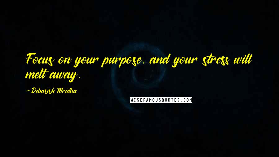 Debasish Mridha Quotes: Focus on your purpose, and your stress will melt away.