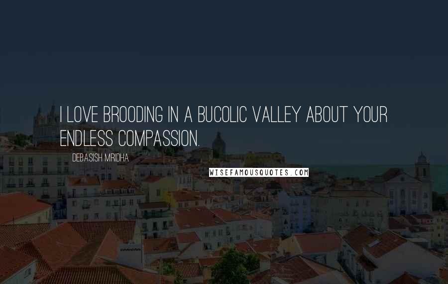 Debasish Mridha Quotes: I love brooding in a bucolic valley about your endless compassion.