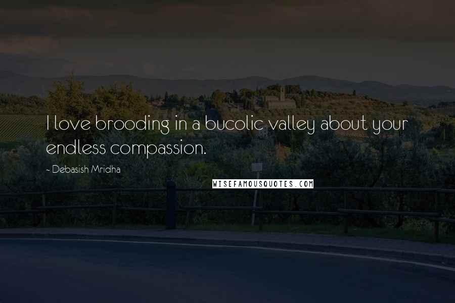 Debasish Mridha Quotes: I love brooding in a bucolic valley about your endless compassion.