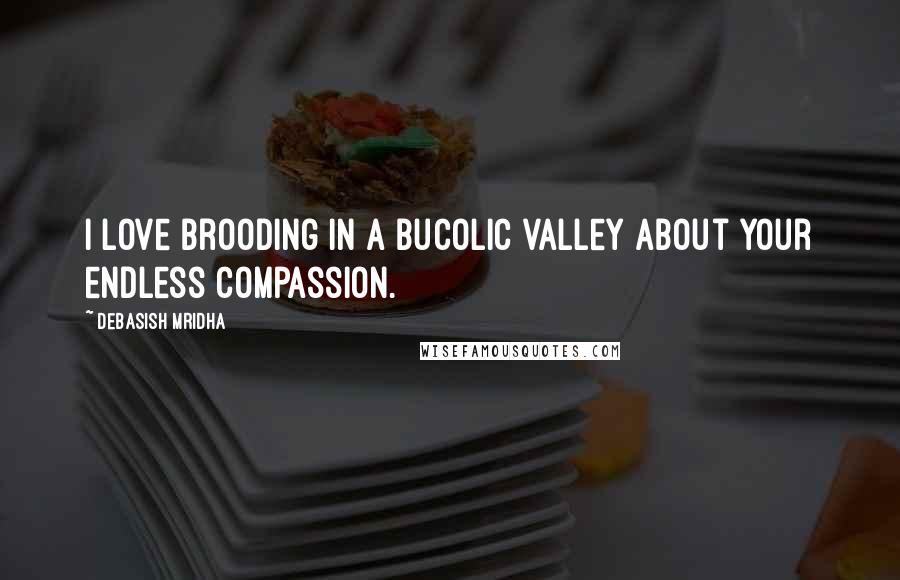 Debasish Mridha Quotes: I love brooding in a bucolic valley about your endless compassion.