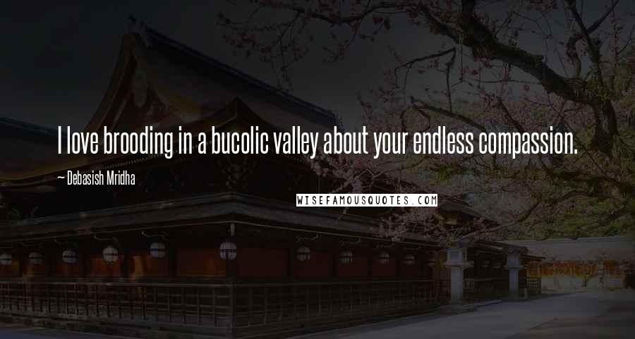 Debasish Mridha Quotes: I love brooding in a bucolic valley about your endless compassion.