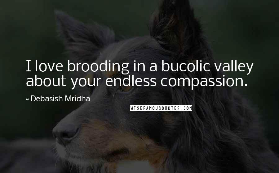 Debasish Mridha Quotes: I love brooding in a bucolic valley about your endless compassion.