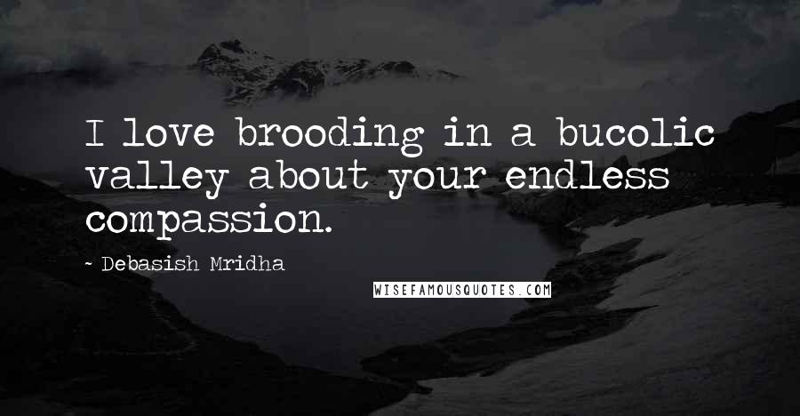 Debasish Mridha Quotes: I love brooding in a bucolic valley about your endless compassion.