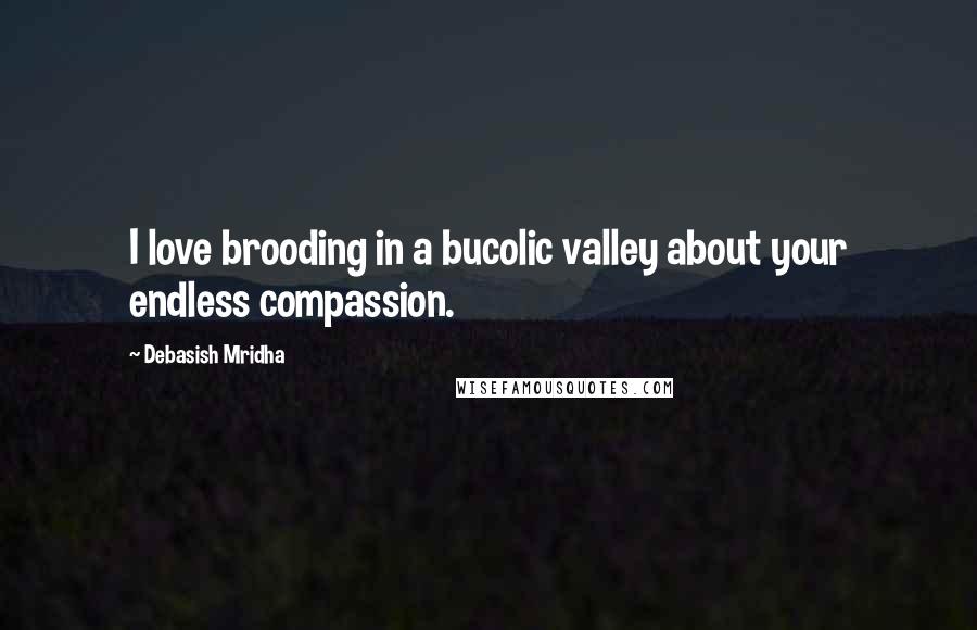 Debasish Mridha Quotes: I love brooding in a bucolic valley about your endless compassion.