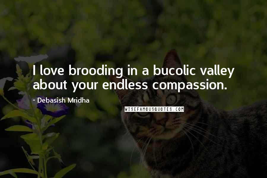 Debasish Mridha Quotes: I love brooding in a bucolic valley about your endless compassion.