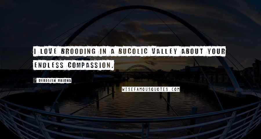 Debasish Mridha Quotes: I love brooding in a bucolic valley about your endless compassion.