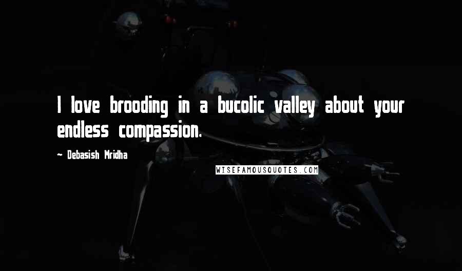 Debasish Mridha Quotes: I love brooding in a bucolic valley about your endless compassion.