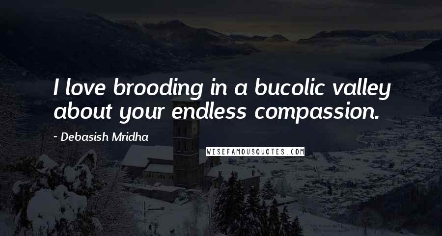 Debasish Mridha Quotes: I love brooding in a bucolic valley about your endless compassion.