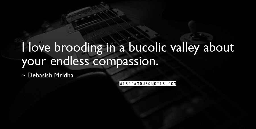 Debasish Mridha Quotes: I love brooding in a bucolic valley about your endless compassion.