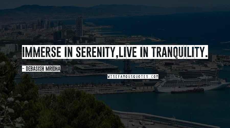 Debasish Mridha Quotes: Immerse in serenity,live in tranquility.