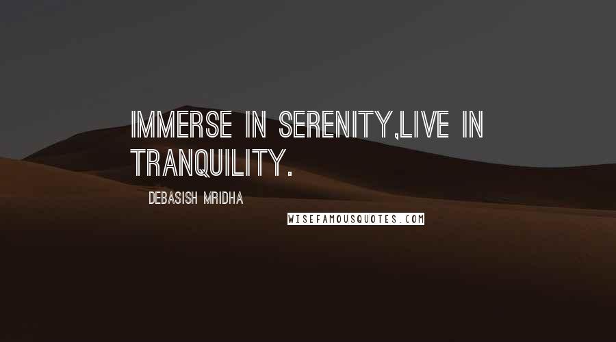 Debasish Mridha Quotes: Immerse in serenity,live in tranquility.