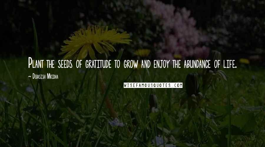 Debasish Mridha Quotes: Plant the seeds of gratitude to grow and enjoy the abundance of life.