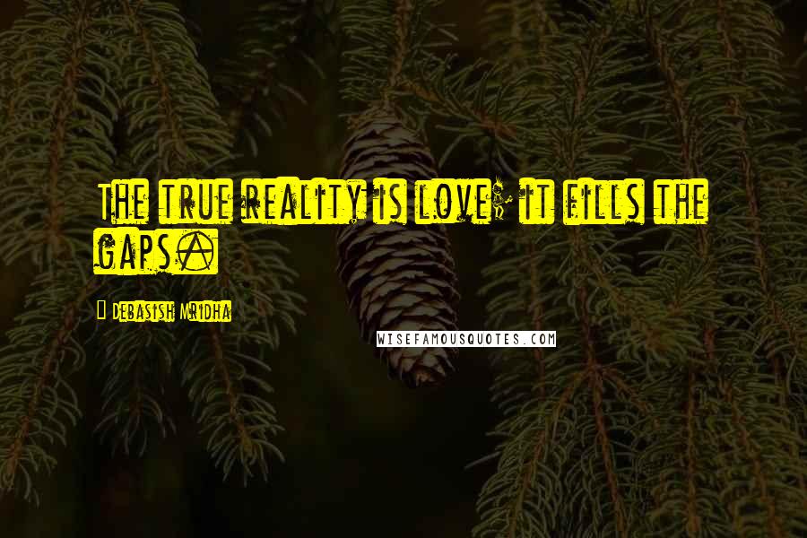 Debasish Mridha Quotes: The true reality is love; it fills the gaps.