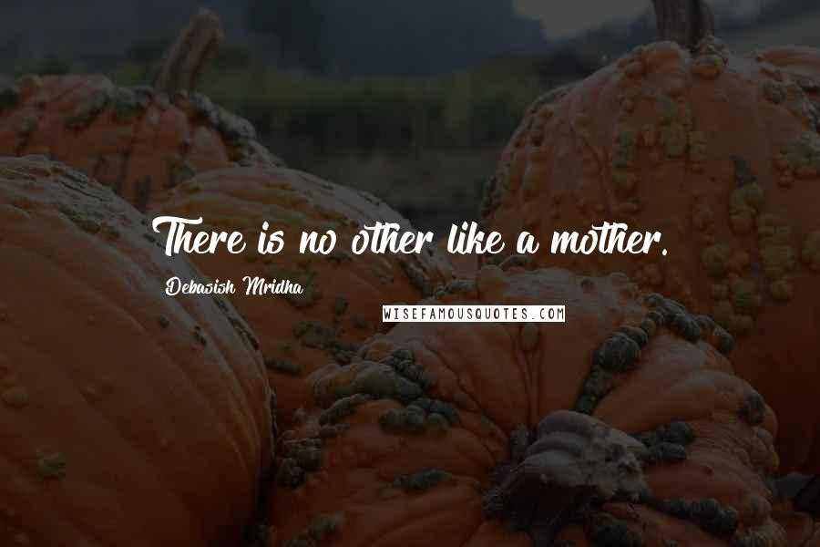 Debasish Mridha Quotes: There is no other like a mother.