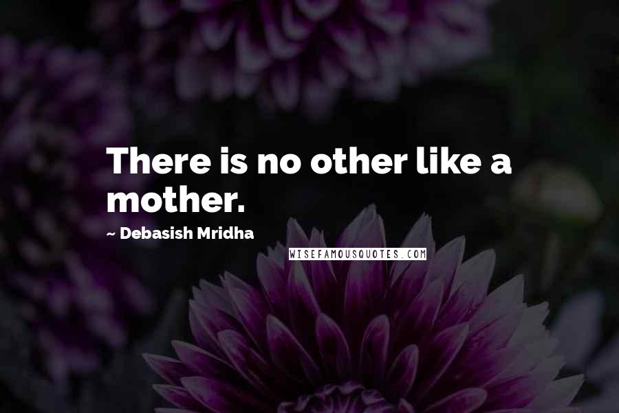 Debasish Mridha Quotes: There is no other like a mother.