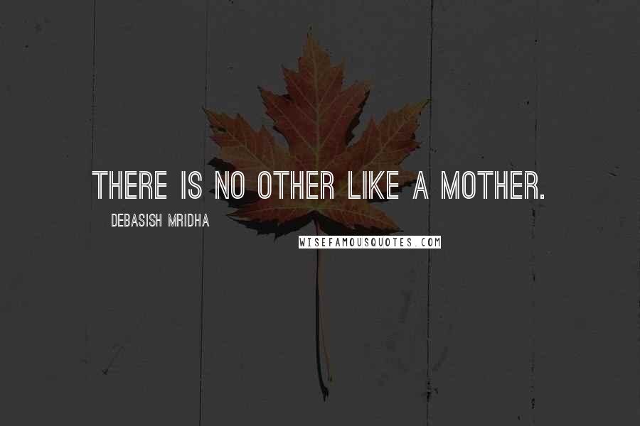 Debasish Mridha Quotes: There is no other like a mother.