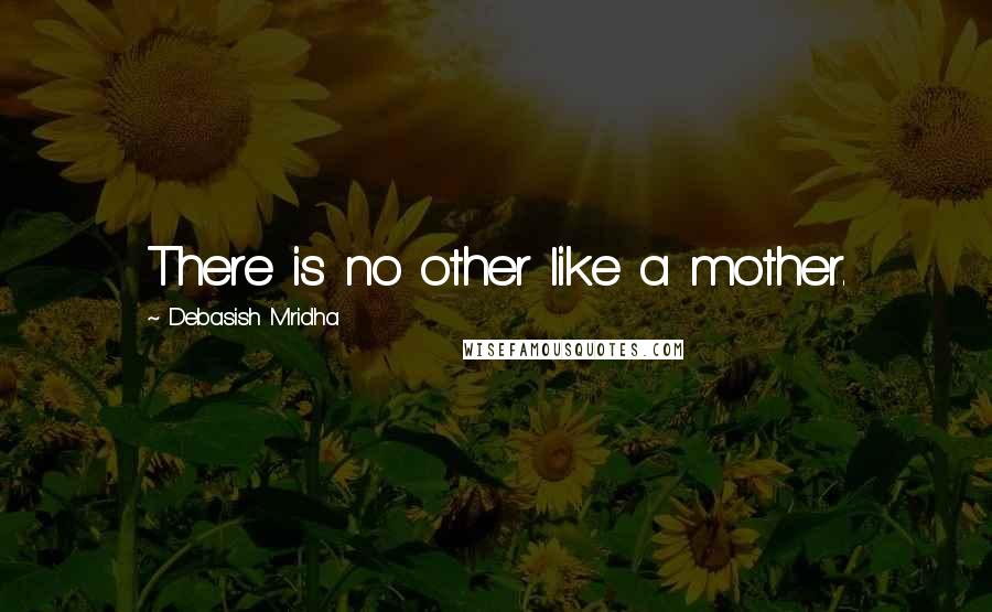 Debasish Mridha Quotes: There is no other like a mother.