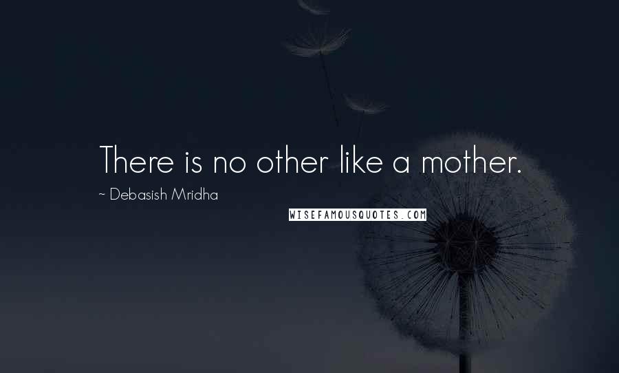 Debasish Mridha Quotes: There is no other like a mother.