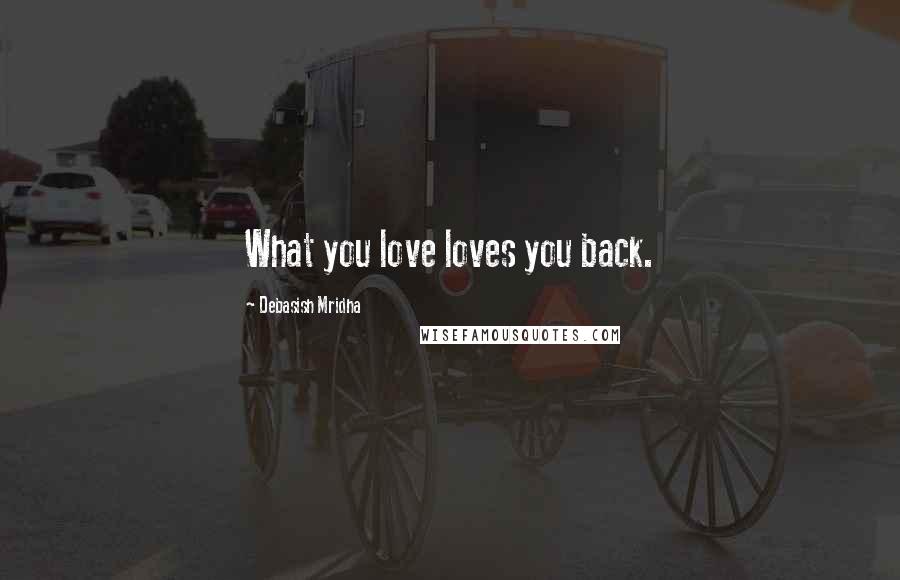 Debasish Mridha Quotes: What you love loves you back.